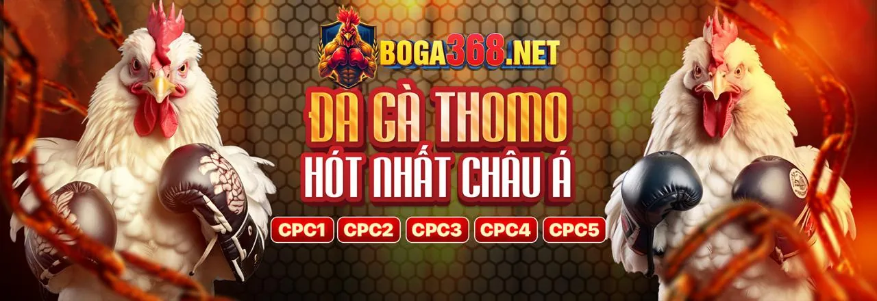Sân đấu đá gà kịch tính tại New88inh Win