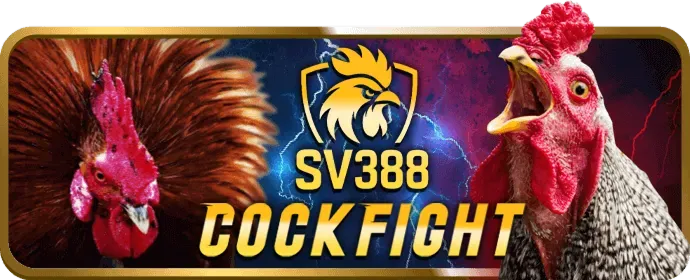 Người chơi đang nghiên cứu các hướng dẫn cá cược tại New88inh Win